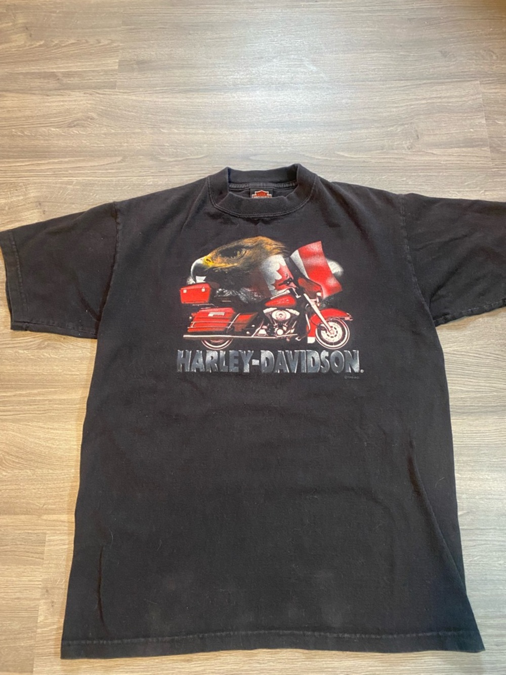 Vintage 90’s Harley-Davidson Red Motorcycle & Eagle Graphic - Saskatoon, SK
